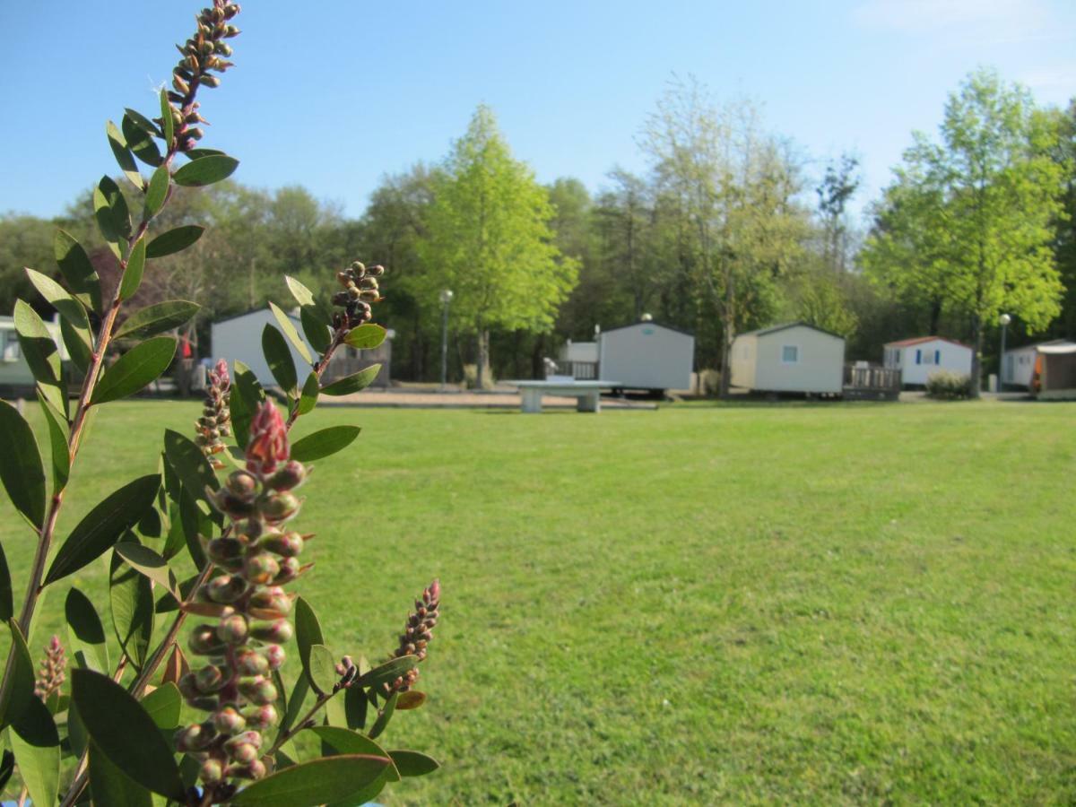 Campsite Du Mouchet La Chapelle-Viviers